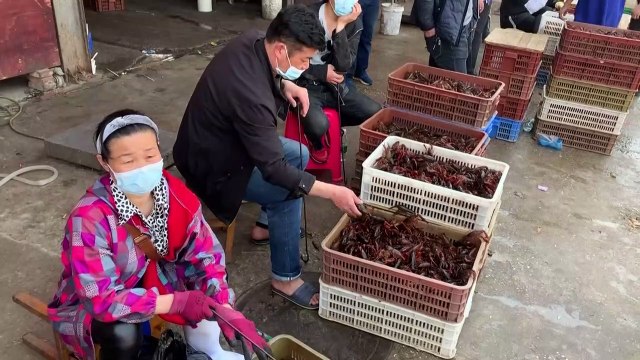 Mercados de alimentos frescos de Wuhan luchan para sobrevivir tras el coronavirus