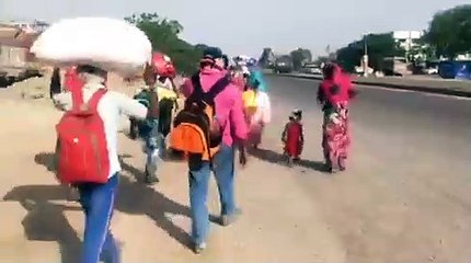 अपनो की याद और बेबसी के कारण के पैदल जा रहे मजदूर