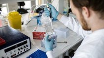 Oxford Üniversitesi, koronavirüs aşısı için insan üzerindeki testlere gelecek hafta başlayacak