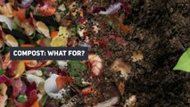 Trend towards zero waste: compost in houses and apartments