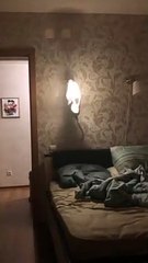 Sphynx Cat Playfully Hangs onto Chandelier