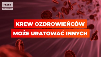 Koronawirus: krew ozdrowieńców może uratować innych
