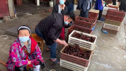 Mercados de Wuhan tentam sobreviver após a epidemia
