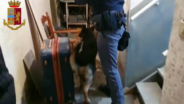 Roma - Scoperte serre di marijuana casalinghe a San Basilio e Primavalle (16.04.20)