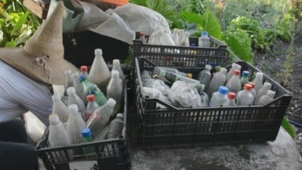 Cultivar en casa, una alternativa creciente ante la crisis sanitaria en México