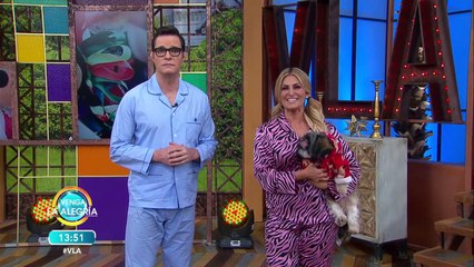 ¡Trucos efectivos para entrenar a tu mascota! | Venga La Alegría