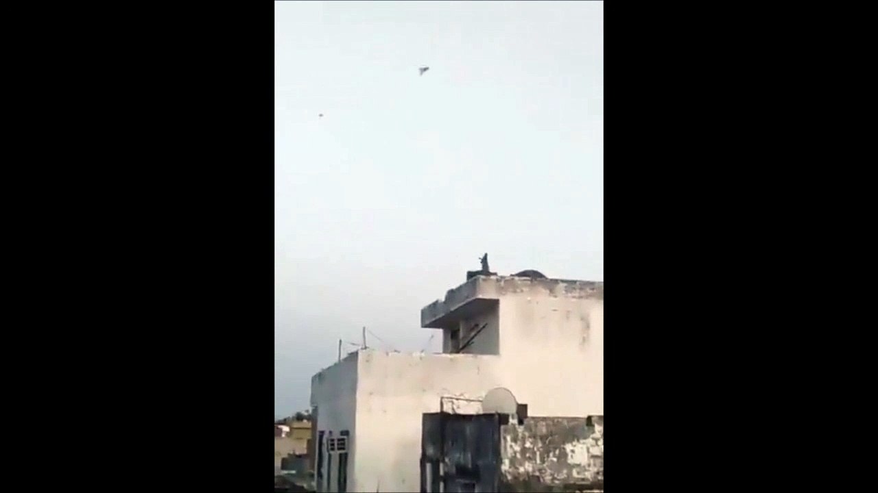 Ce singe s'amuse avec un cerf-volant