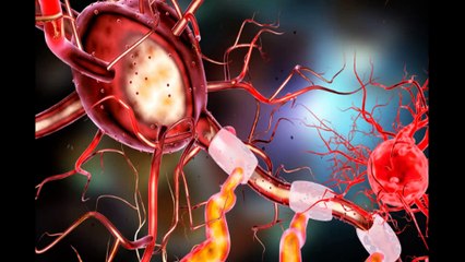 Environmentally Determined