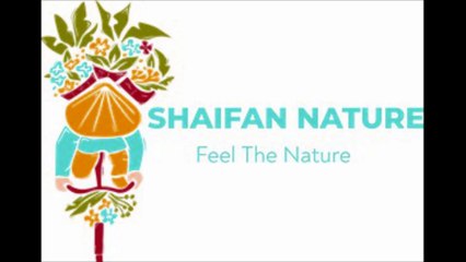 Beach Walk Music Beautiful View The Nature