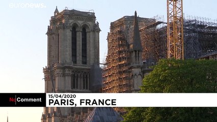 Колокол Нотр-Дама зазвонил в честь медиков