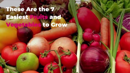 These Are the 7 Easiest Fruits and Vegetables to Grow