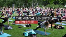 The Mental Benefits Of Exercise