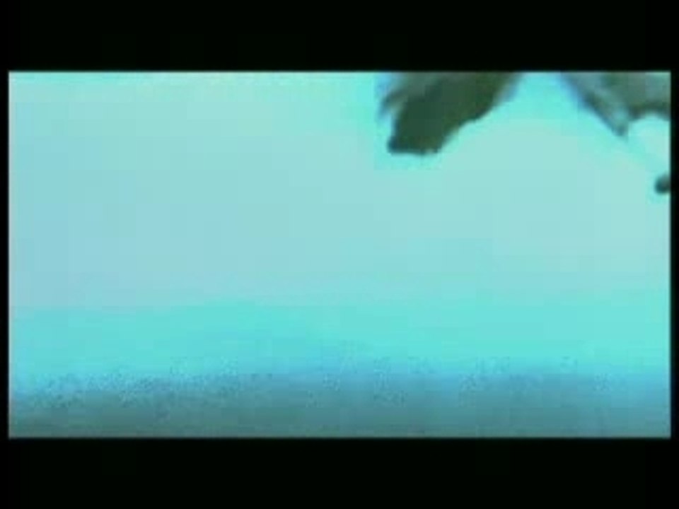 John Rambo : Bande Annonce