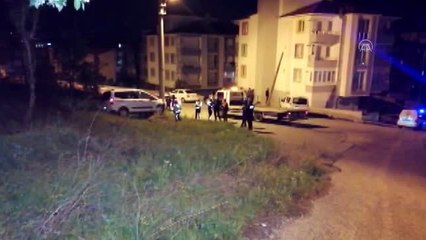 Hareket eden hafif ticari aracı durdurmaya çalışan kişi yaralandı