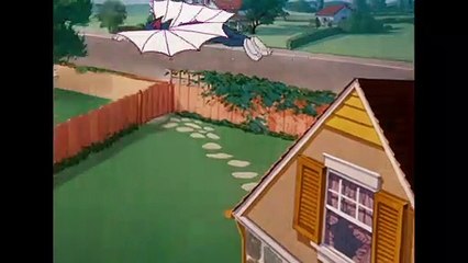 Tom & Jerry - Tom the Cat or Tom the Bird - WB Kids