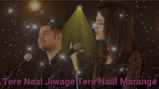 Tere nal jiwa ge tere naal mere by naseebo Lal song || Tere naal jiyenge tere naal marage song || Tere naal jiwage tere naal marange song || Tere naal jiyenge or tere nal marenge song || naseebo Lal song || new song || 2020 new song || Filmi song || baagh