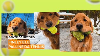 Finley e il suo amore per le palline da tennis