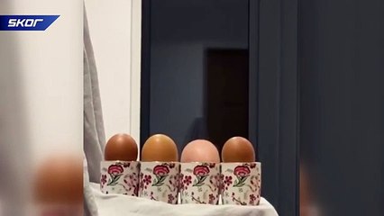 Pepe Reina : Hala evdeyiz