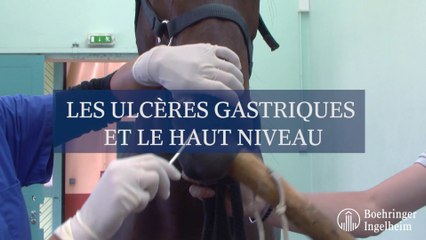 Les ulcères gastriques et le haut niveau