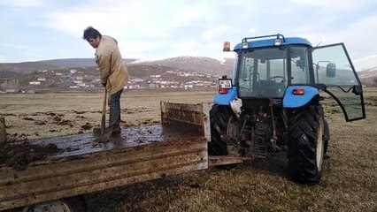 Yardımcı bulamayınca gübreleme için ilginç bir yöntem geliştirdi