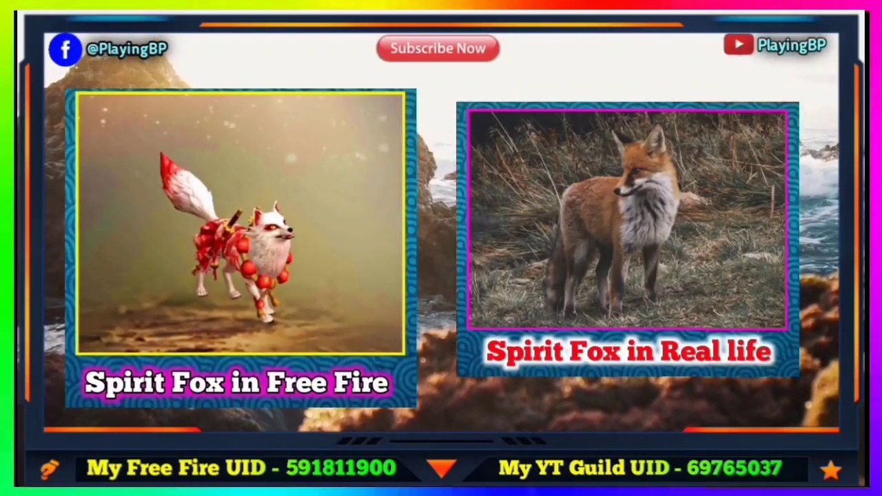 Free Fire all pet in Real life।Garena free fire all pet in real life 2020।Free Fire real life pet। free fire New pet in real life।