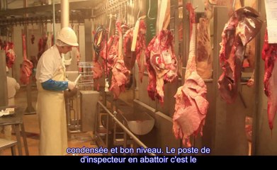 Le métier d'inspecteur en abattoir dans la spécialité "Vétérinaire et alimentaire" des techniciens supérieurs du ministère de l'Agriculture
