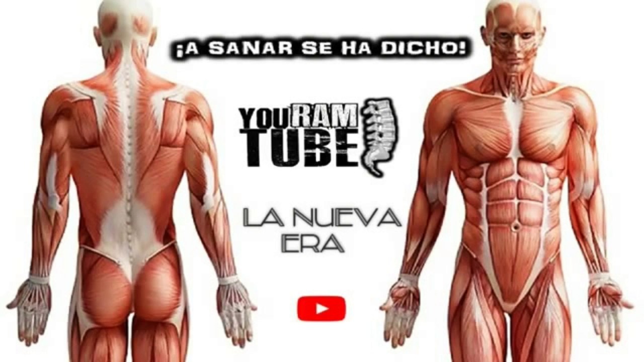 CIÁTICA EJERCICIOS RECOMENDADOS que SÍ FUNCIONAN! RUTINA 3   YouRamTube