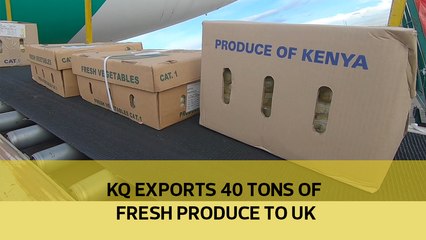 KQ exports 40 tons of fresh produce to UK amid bounce back plan