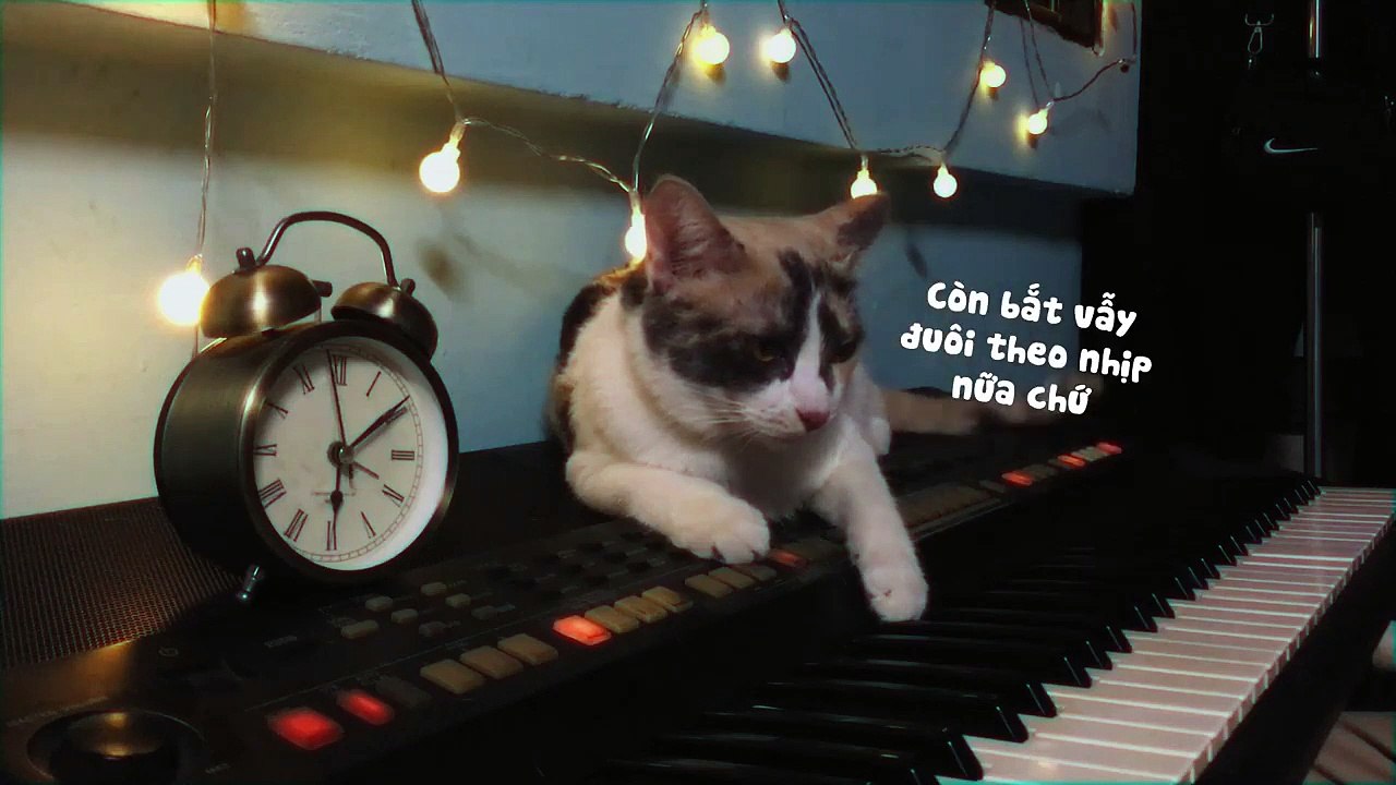 CỐ GIANG TÌNH - Phát Hồ x JokeS Bii ft DinhLong - PHIÊN BẢN HÒA TẤU HÀI CÙNG MỒN LÈO - BY CAOTRI