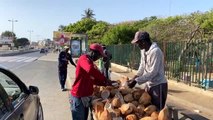 Senegal'de salgın günlerinin 