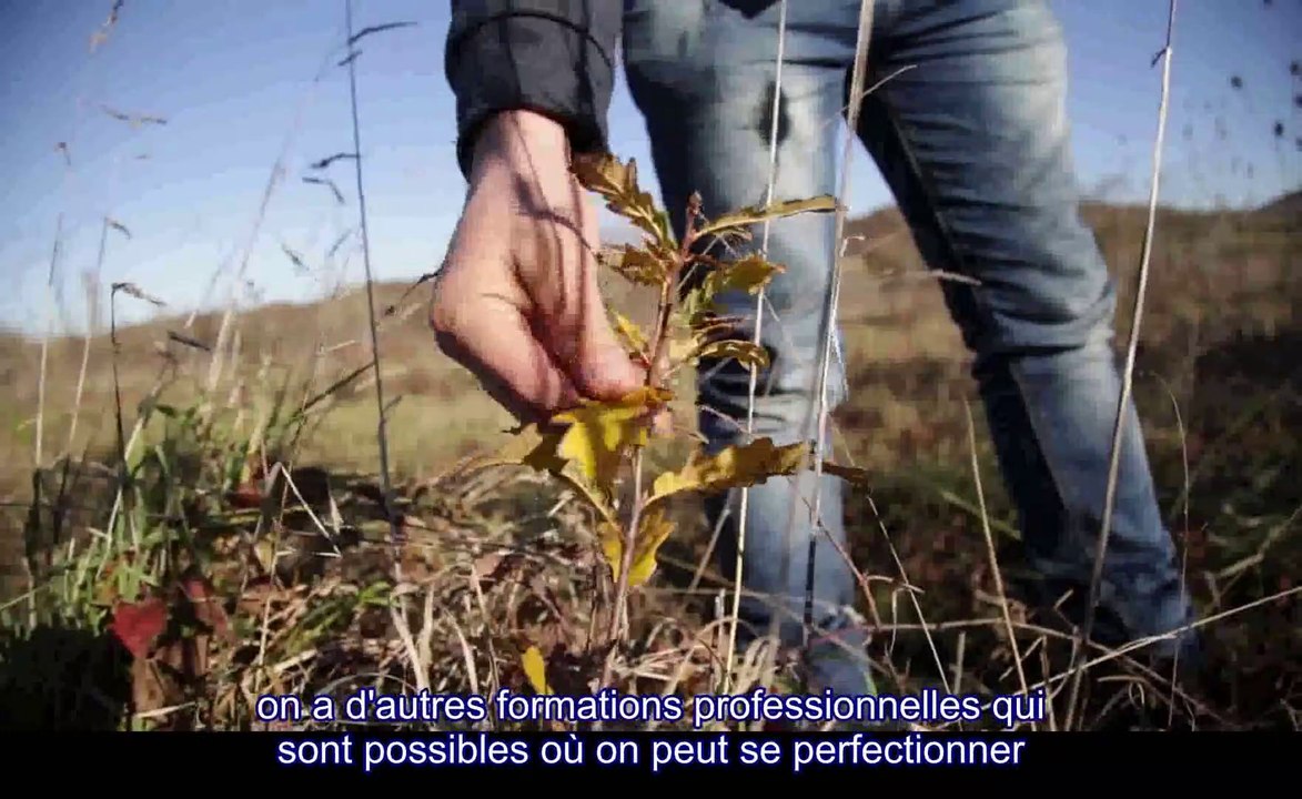 Le métier de technicien dans le domaine forestier : spécialité "Forêts et territoires ruraux" des techniciens superieurs du ministère de l'Agriculture