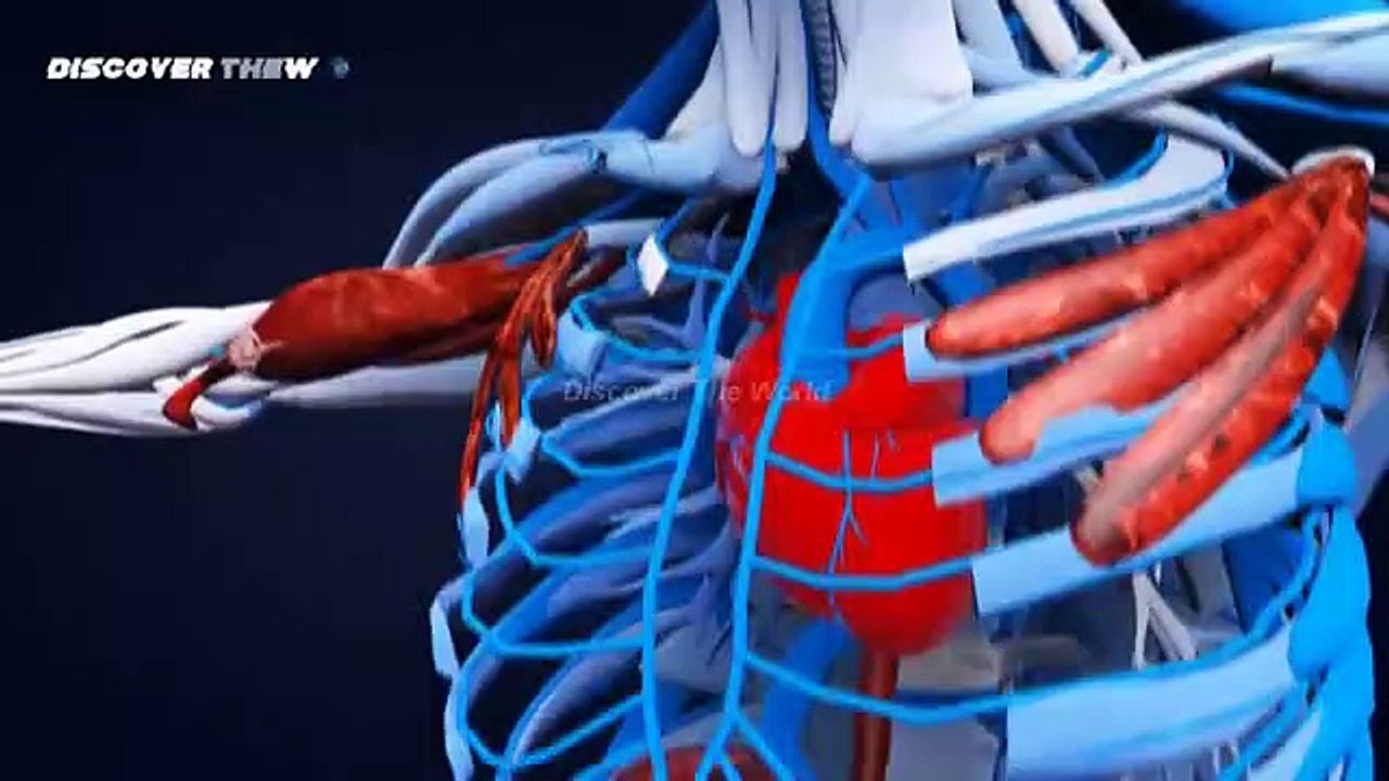 According To Hazrat Ali (R.A) Why Sleep is Not Coming In Urdu Hindi   Islam And Science