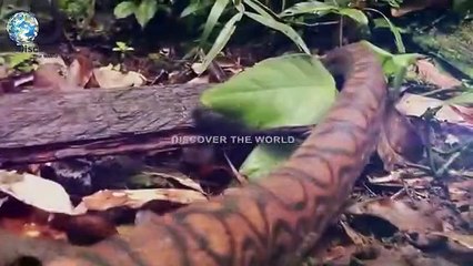 AMERICAN DEATH VALLEY NATIONAL PARK IN URDU HINDI