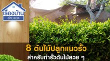 8 ต้นไม้ปลูกแนวรั้ว สำหรับทำรั้วต้นไม้