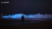 Bioluminescent algae illuminate waves as they crash onto Californian beach