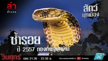 รายการล่า | EP.288 ตอน กองทัพงูบุกบ้าน (4/4)