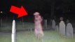 Ghosts Caught On Camera: Top 5 BEST Ghost Photos EVER