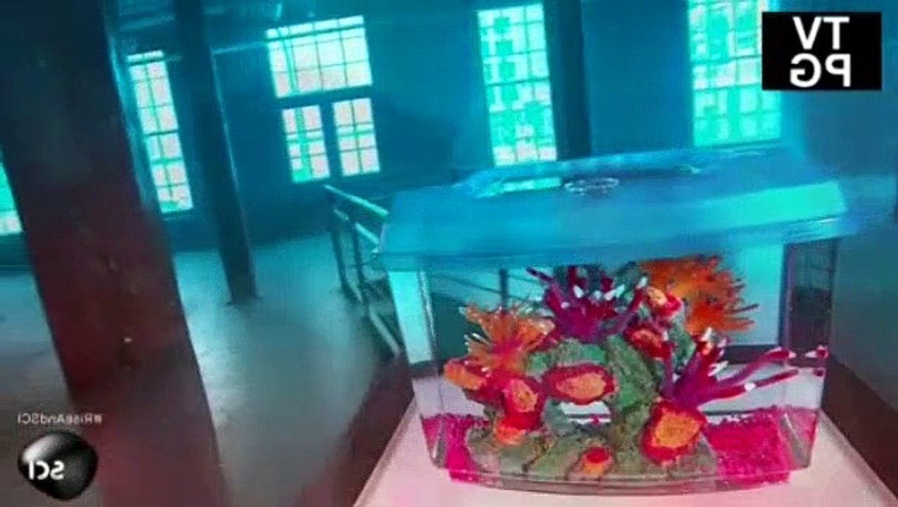 How Its Made S00E05 Sails Reef Aquatiums Oceanographic Buoys Folding Kayaks