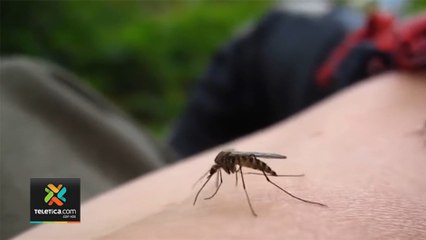 tn7-1760-casos-de-dengue-170420