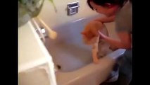 Cats just dont like to bath haha. hows yours?