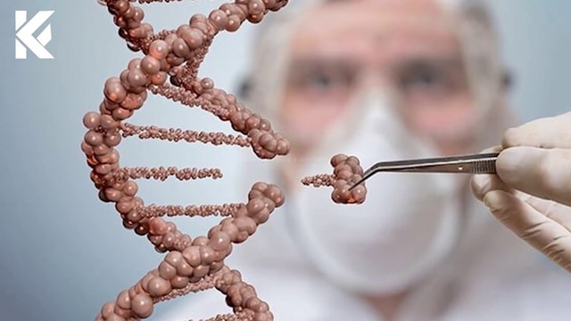 Chinese Scientist Jailed For Creating Artificial Babies,chinese scientist,chinese scientists are creating crispr babies,chinese scientist jailed,scientists,artificial,gene edited babies,chinese scientist who claim