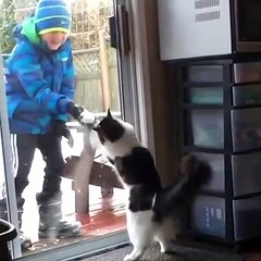 Did your kitty have fun this winter?_ Lol