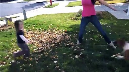 Funny moment when dog with kids lol