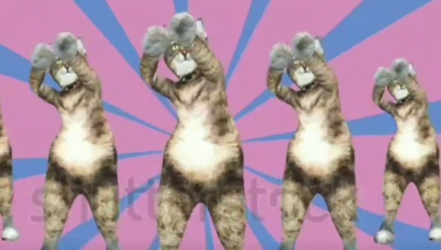 Tom Dance Dheeme Dheeme Dance Cover Video