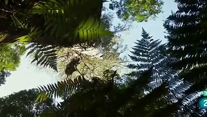 순창콜걸 ㅣㅣ ☎070p7722p8235 {카톡CC9988} 순창출장안마 순창출장샵 순창출장마사지 ▒ 순창출장오피 ▒ 순창출장홈타이 ▒ 순창출장아로마