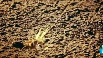 서산3040애인찾기 ☎070x5180x1618 {카톡UO37} 서산출장마사지 서산출장마사지 ▩SNS성인만남♨30대애인 서산출장마사지 ♥∠≪