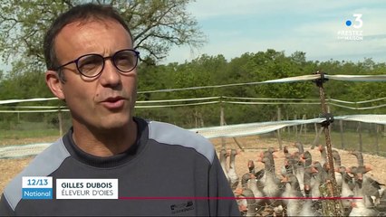 Confinement : les ventes de foie gras en chute libre