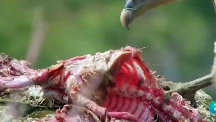 070p7722p8751 {카톡RQ43} 팔달출장안마☎팔달출장안마∩24시환영▨팔달출장안마●팔달출장안마 팔달콜걸샵 ♥◗≪