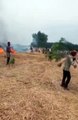 इटावा: तैयार गेहूं की फसल जलकर हुई राख, दमकल की मदद से आग पर पाया काबू