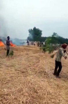 इटावा: तैयार गेहूं की फसल जलकर हुई राख, दमकल की मदद से आग पर पाया काबू